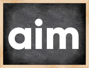 3 forms of the verb aim