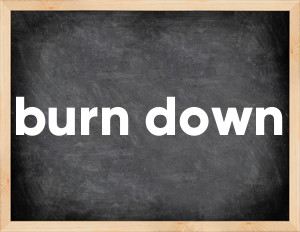 3 forms of the verb burn down