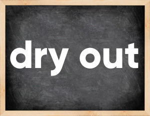 3 forms of the verb dry out