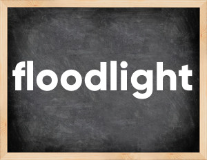 3 forms of the verb floodlight