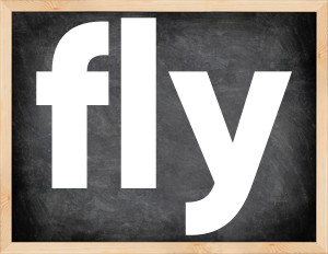 3 forms of the verb fly in English
