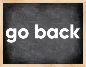 3 forms of the verb go back