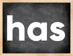 3 forms of the verb has