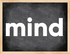 3 forms of the verb mind