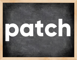 3 forms of the verb patch