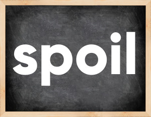 3 forms of the verb spoil