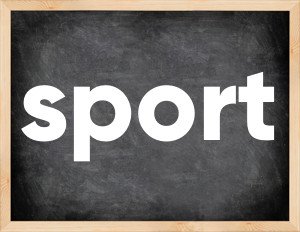 3 forms of the verb sport