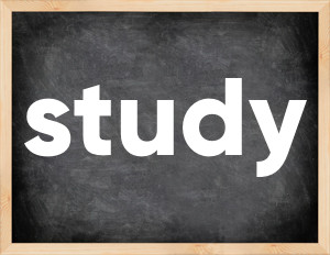 3 forms of the verb study in English