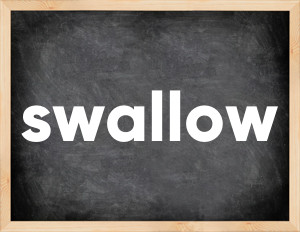 3 forms of the verb swallow