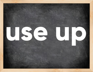 3 forms of the verb use up